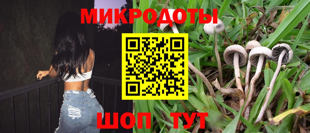 Галлюциногенные грибы Cubensis Сертолово