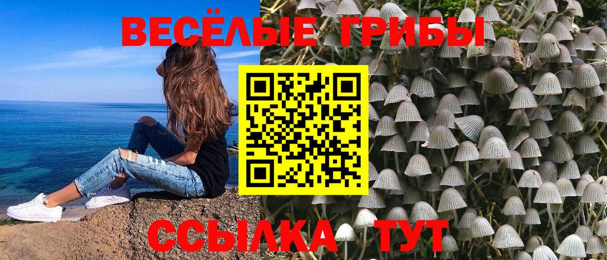 Псилоцибиновые грибы MAGIC MUSHROOMS  Вход с VPN  Сертолово 